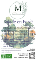 La Balade en Forêt  image 0