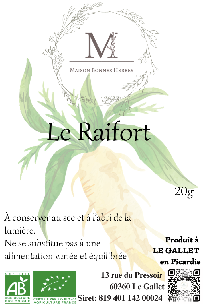 Le Raifort (feuilles) image 0