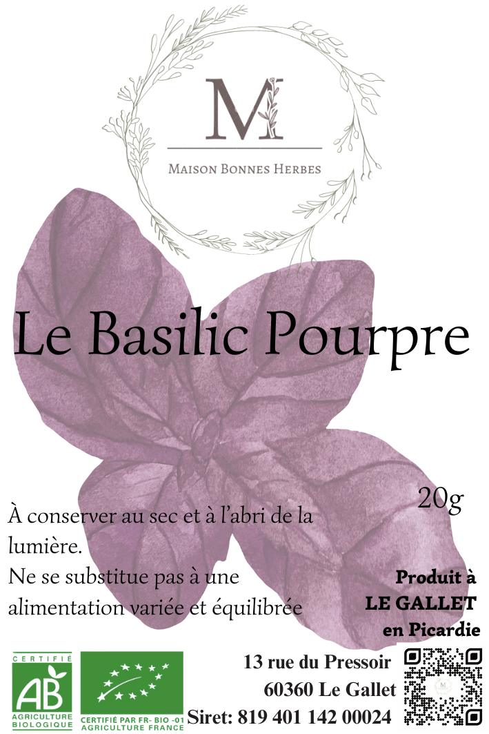 Basilic Pourpre image 0