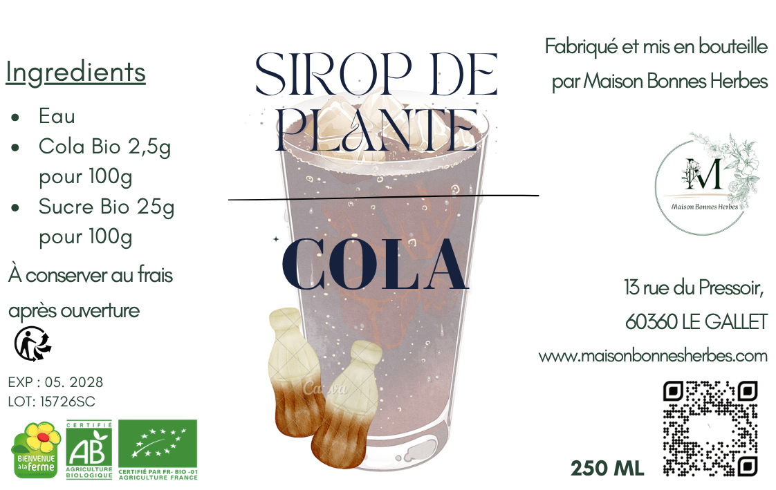 Sirop de plantes Cola (armoise cola)