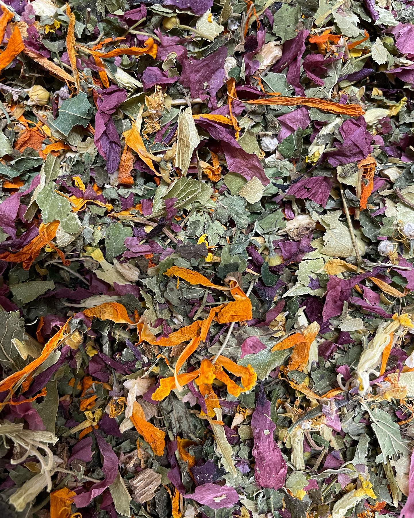 Tisane Belle de Nuit image 1