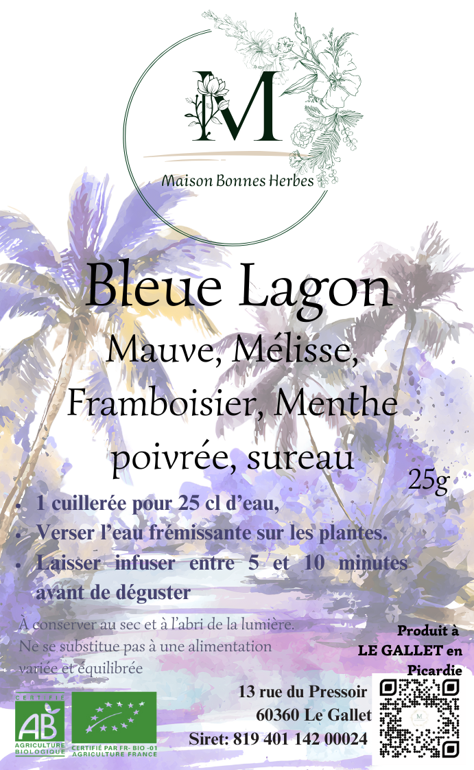 Tisane Bleue Lagon