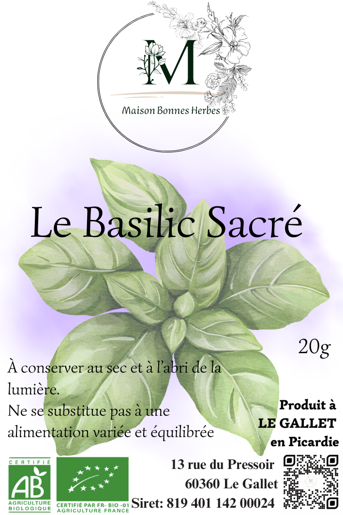 Basilic Sacré image 0