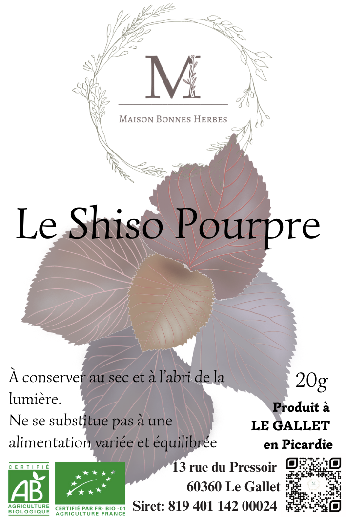 shiso pourpre (PERILLIA) image 0